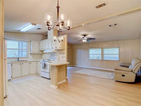 4919 Blanco Drive, Zephyrhills FL - photo 7 of 26