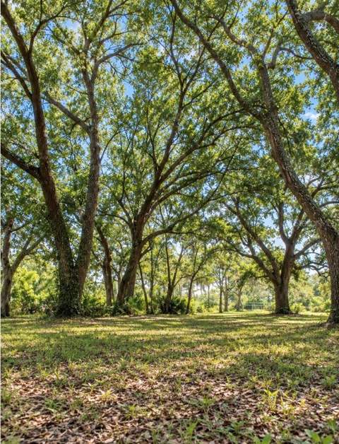 1533 Tiger Lake Road, Lake Wales FL - photo 12 of 12