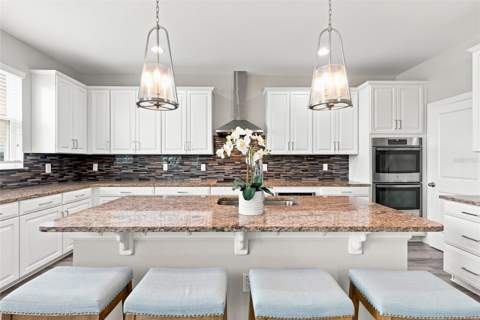 7697 Roma Dune Drive, Wesley Chapel FL - photo 17 of 64