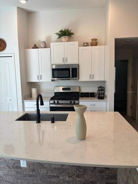 22481 Storybook Cabin Way, Land O Lakes FL - photo 7 of 27