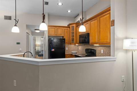701 Mirror Lake Drive #120, St Petersburg FL - photo 22 of 63