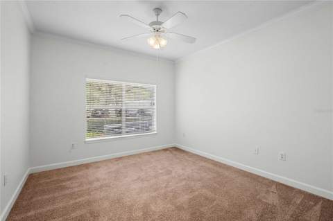 18525 Bridle Club Drive #18525, Tampa FL - photo 22 of 38