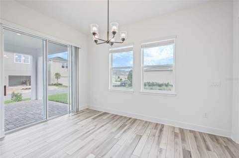 17422 Honeybell Tangelo Court, Winter Garden FL - photo 7 of 42