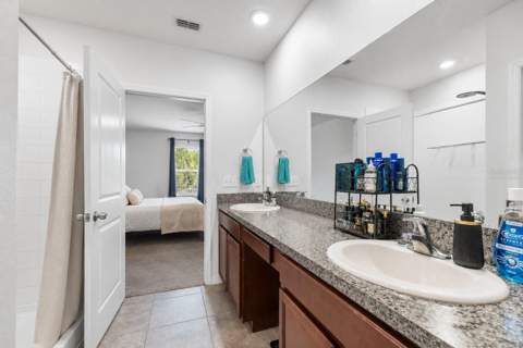 3703 Globe Thistle Drive, Tampa FL - photo 13 of 37