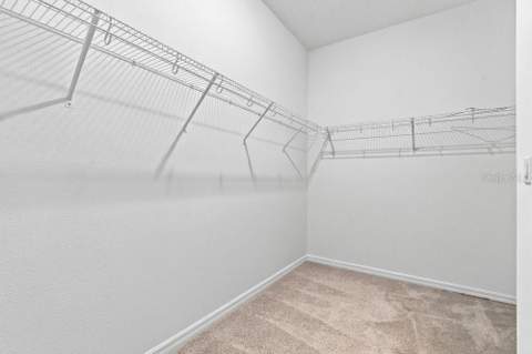2378 Gold Dust Drive, Minneola FL - photo 21 of 37