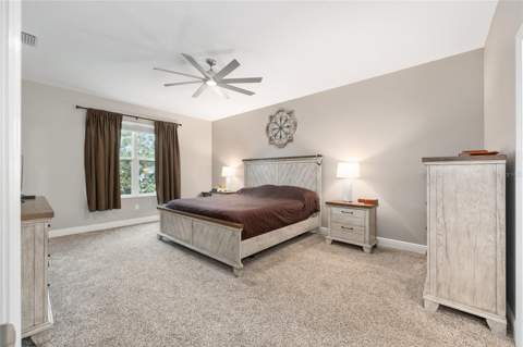 4258 James River Circle, Leesburg FL - photo 24 of 62