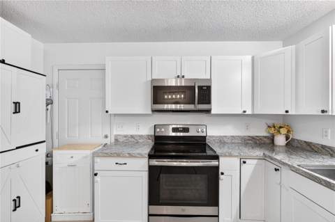 30832 Ridgeview Avenue, Mount Plymouth FL - photo 11 of 32