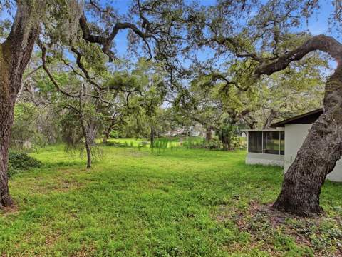 34696 Orchid Parkway, Dade City FL - photo 11 of 20