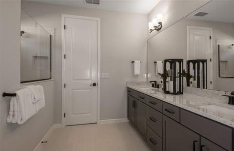 10057 Trellis Vine Way, Parrish FL - photo 15 of 30