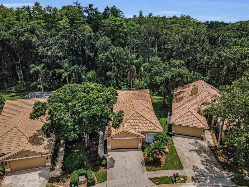 3 bedroom Single Family Residence at 5250 Pinehurst Court, Parcel B - The Pinnacle, Oldsmar — photo 4
