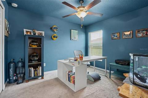 6671 Mineral Springs Road, New Port Richey FL - photo 22 of 41