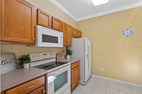 8535 Bay Lilly Loop, Kissimmee FL - photo 8 of 58