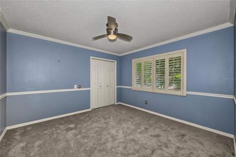 2233 Pinnacle Circle, Palm Harbor FL - photo 15 of 49