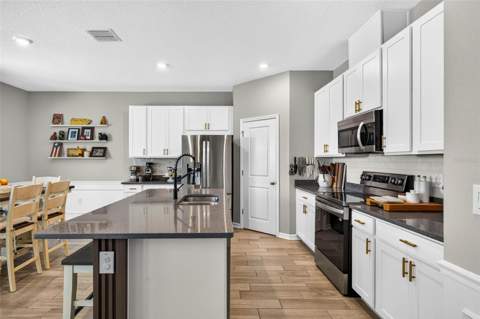 34117 White Fountain Court, Wesley Chapel FL - photo 16 of 99