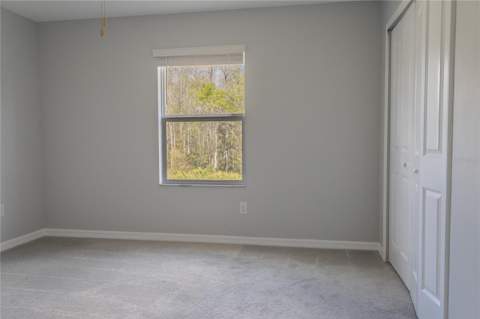 17711 Nectar Flume Drive, Land O Lakes FL - photo 22 of 33