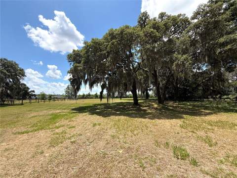 7119 SW 80th Avenue, Ocala FL - photo 7 of 59