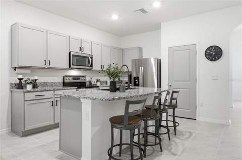 32825 Pez Landing Lane, Wesley Chapel FL - photo 11 of 51