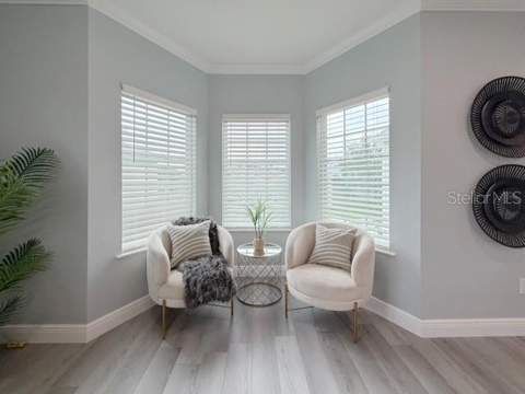 1083 S Pointe Alexis Drive, Tarpon Springs FL - photo 13 of 65