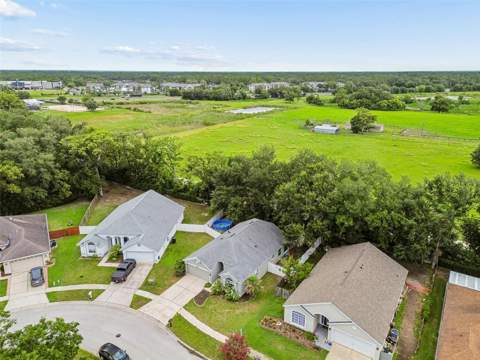 6312 Ashfield Place, Wesley Chapel FL - photo 6 of 6