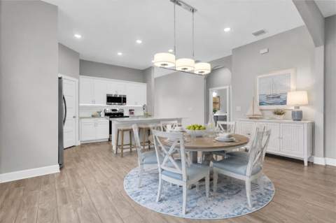 224 NE Jefferson Circle, St Petersburg FL - photo 10 of 58