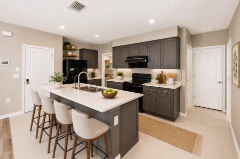 32756 Ansley Bloom Lane, Wesley Chapel FL - photo 8 of 48