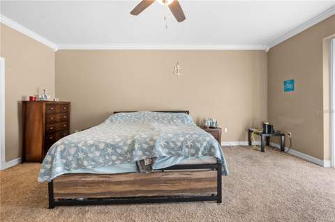 13040 Quigley Avenue, Weeki Wachee FL - photo 22 of 33
