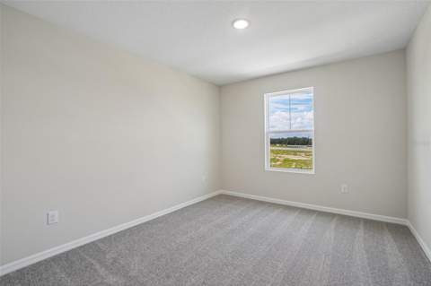 36564 Sagemoor Drive, Zephyrhills FL - photo 21 of 42