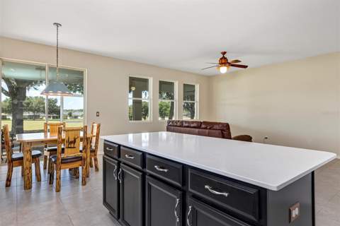 26868 White Plains Way, Leesburg FL - photo 13 of 53