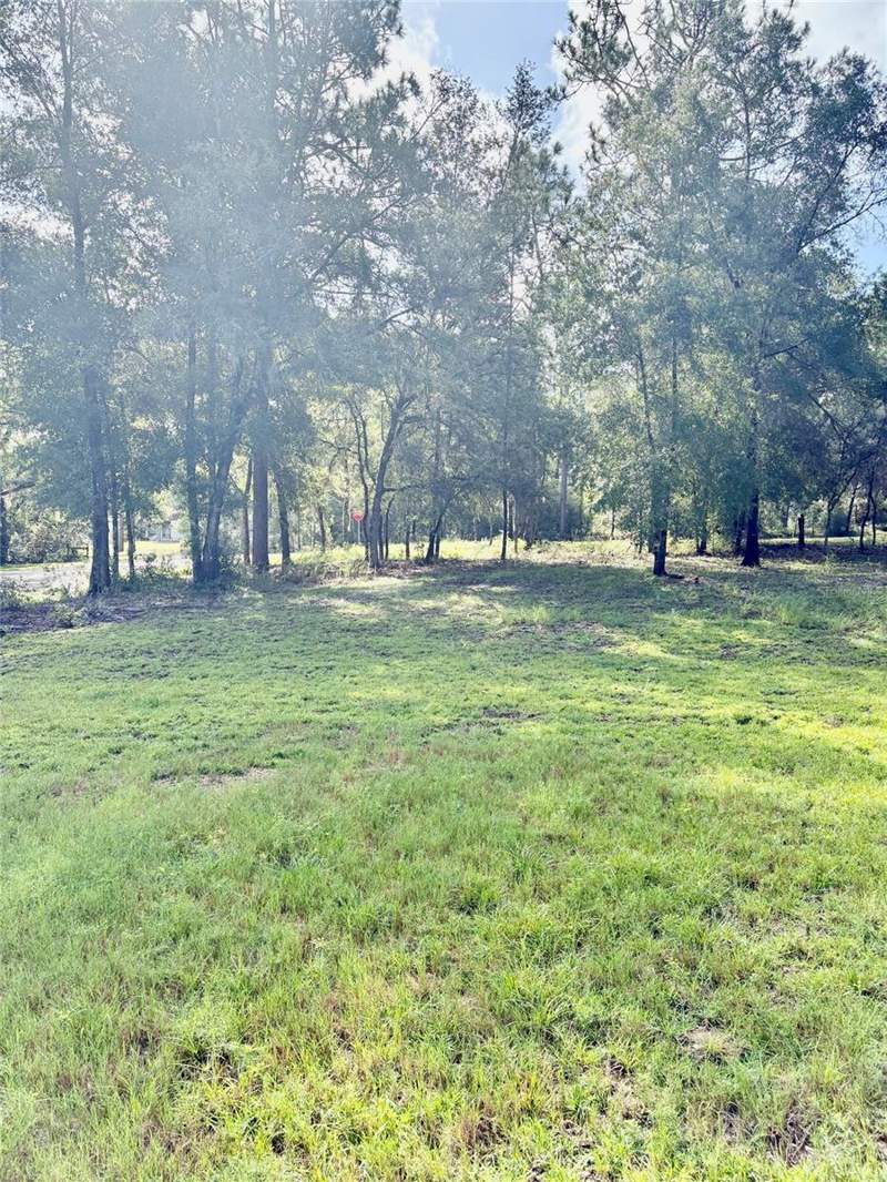 3 bedroom Single Family Residence at 8680 SW 209th Court, Rainbow Spgs 01 Rep, Dunnellon — photo 3