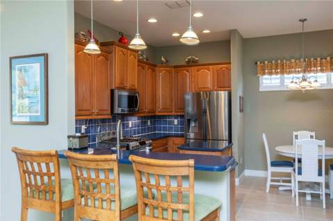 3746 Dogtrot Street, New Port Richey FL - photo 11 of 50