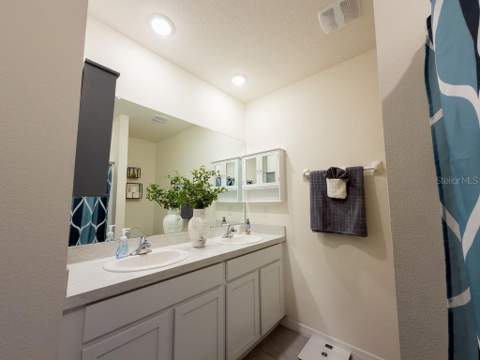 17014 Blister Wing Drive, Wimauma FL - photo 20 of 33