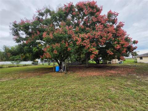 357 Tindel Camp Road, Lake Wales FL - photo 15 of 16