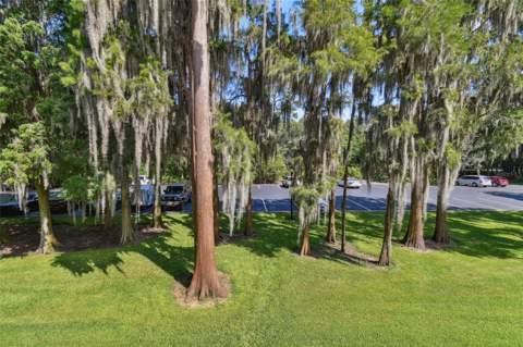 36750 US Highway 19 #04239, Palm Harbor FL - photo 6 of 6