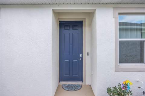 2555 Bending Bonsai Drive, Wesley Chapel FL - photo 12 of 57