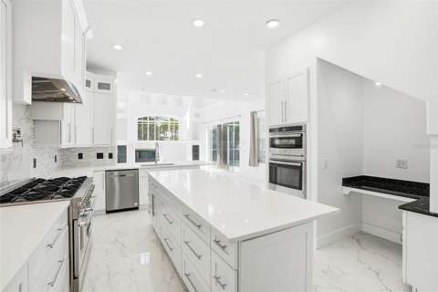 11637 Bristol Chase Drive, Tampa FL - photo 13 of 73