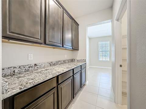 13071 Brookside Moss Drive, Riverview FL - photo 17 of 83