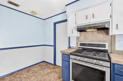 315 S Lone Oak Drive, Leesburg FL - photo 12 of 26