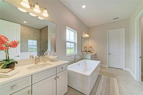 10858 Spring Sapling Circle, Parrish FL - photo 6 of 6