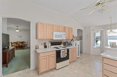 3009 Batally Court, The Villages FL - photo 18 of 41