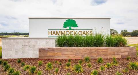 902 Buckeye Drive, Lady Lake FL - photo 16 of 22