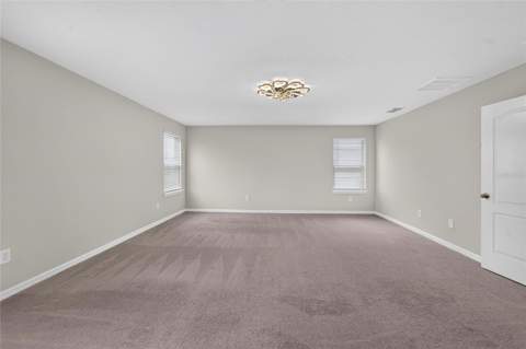 11628 Lake Lucaya Drive, Riverview FL - photo 16 of 47