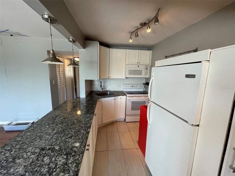 2 bedroom Condominium at 208 NE MONROE CIRCLE #307, COVINGTON COURT HYDE PARK CONDO, ST PETERSBURG — photo 5