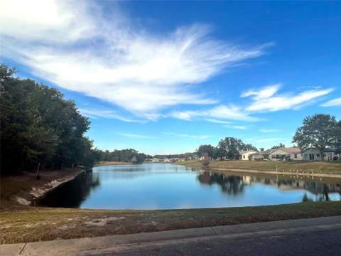 507 Cottage Park Lane, Leesburg FL - photo 24 of 25