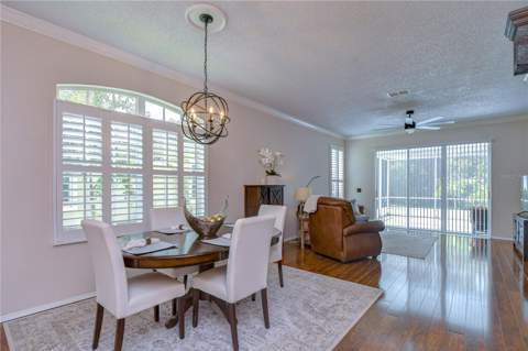 9815 Gingerwood Drive, Tampa FL - photo 19 of 48