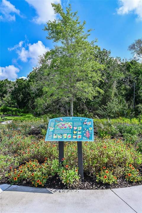 14627 Contenta Loop, Lakewood Ranch FL - photo 23 of 41