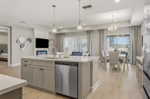 33287 Sycamore Leaf Drive, Wesley Chapel FL - photo 13 of 61