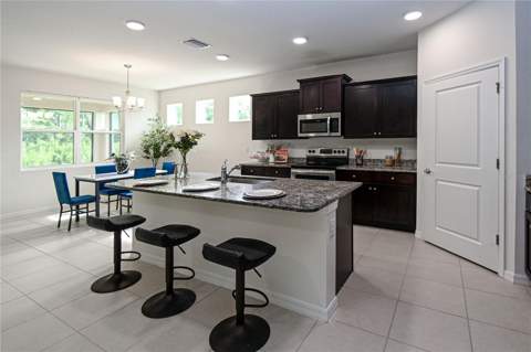 1052 Manzanar Place, Wesley Chapel FL - photo 6 of 6