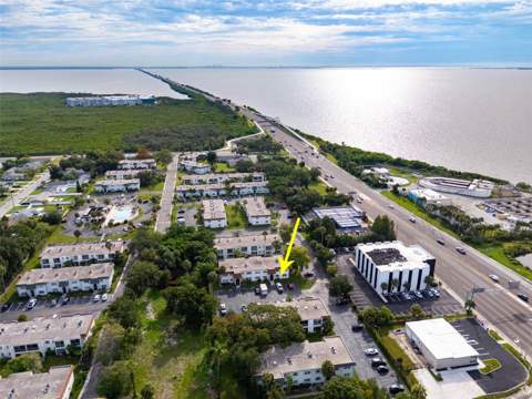345 S McMullen Booth Road #143, Clearwater FL - photo 23 of 26