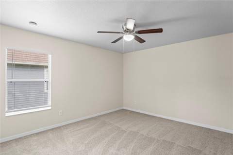 7249 Bridgeview Drive, Wesley Chapel FL - photo 17 of 26