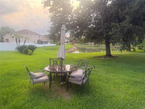 10467 Lucaya Drive, Tampa FL - photo 20 of 20